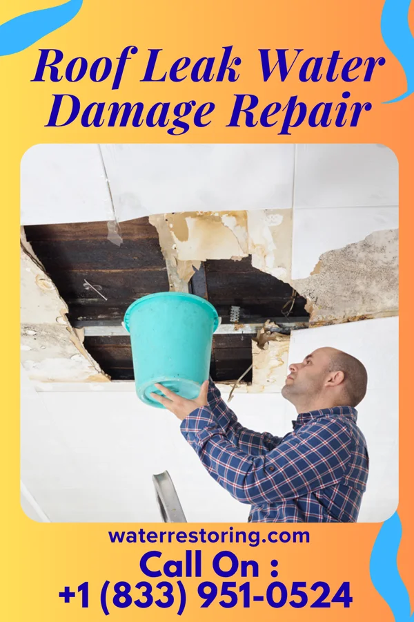 Roof Leak Water Damage Repair in Salineño, TX