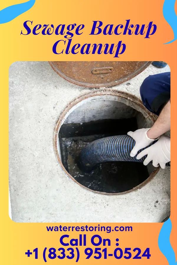 Sewage Backup Cleanup in Salineño, TX